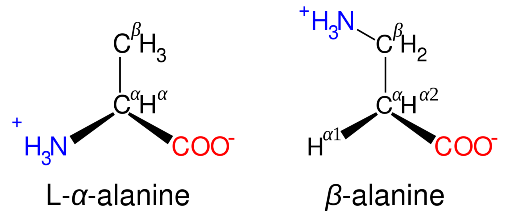 Structure of alanine isomers