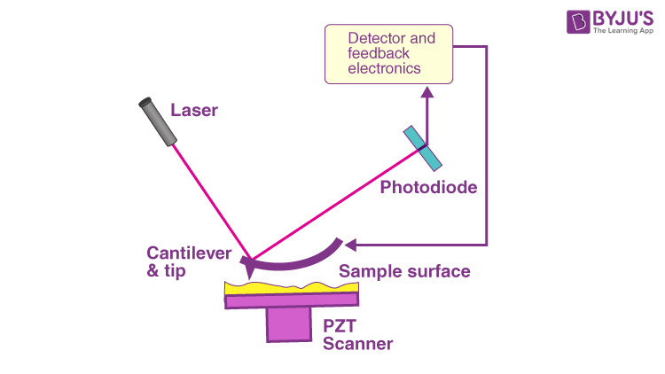 Scanning probe microscope