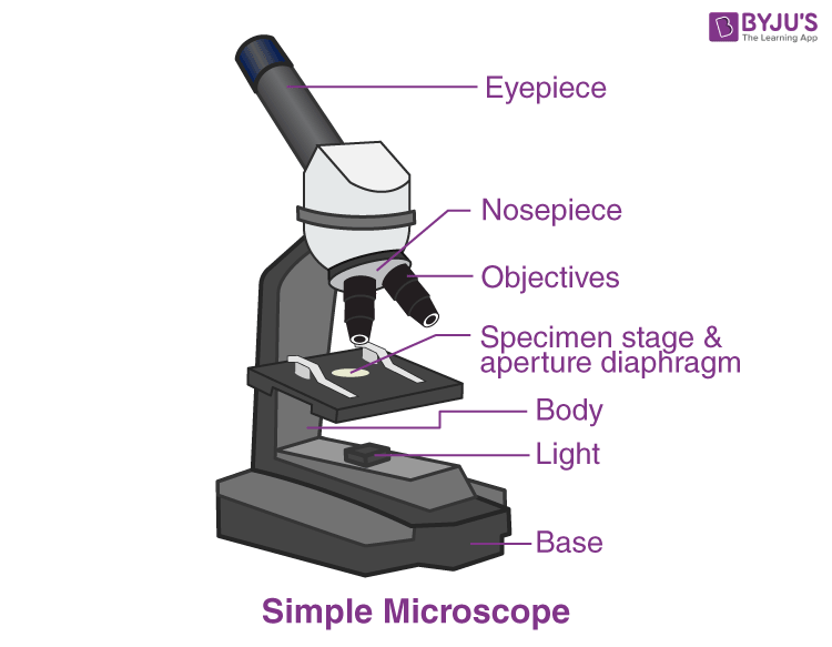 Illustrative diagram of a simple microscope