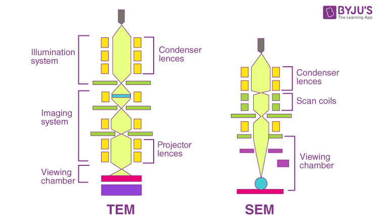 Types of electron microscopes