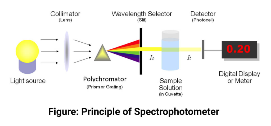 Illustrative diagram of the principle of the spectrophotometer